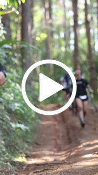 BIB:  <button type="button" onclick="openModal(26569699)" class="btn btn-primary btn-sm float-right" data-toggle="modal" data-target=".modal-high-quality">
                <i class="fa fa-download"></i> Download
                </button>